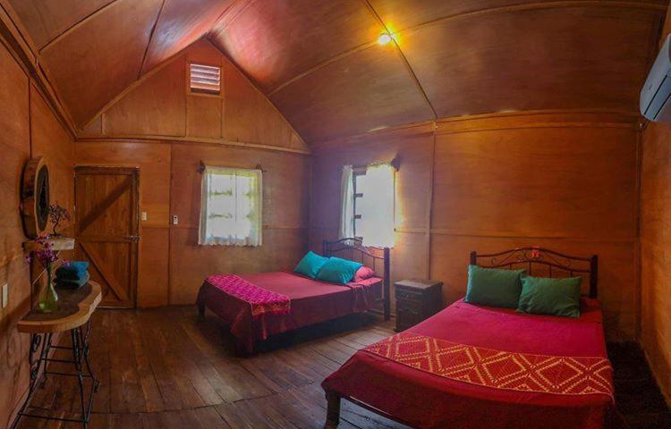 Green Monkey Hostel Bacalar Exteriér fotografie