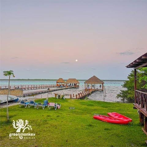 Green Monkey Hostel Bacalar Exteriér fotografie