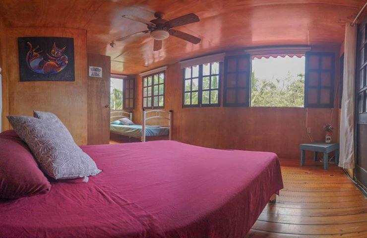 Green Monkey Hostel Bacalar Exteriér fotografie